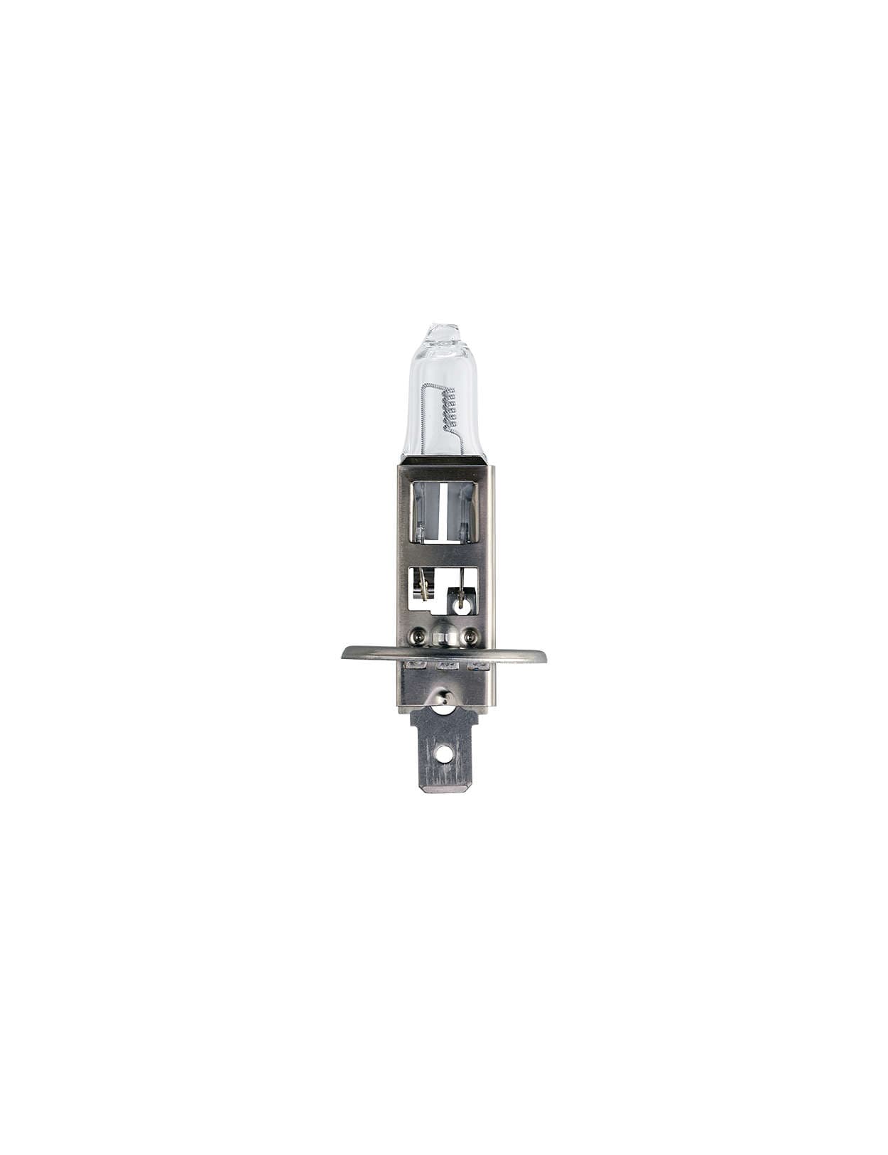 H1 24V 70W P14,5s MasterLife C1 1 St. Philips