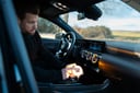 LEDGuardian® Road Flare Signal TA20 NXT Warn- und Sicherheitsleuchte 1 St. OSRAM