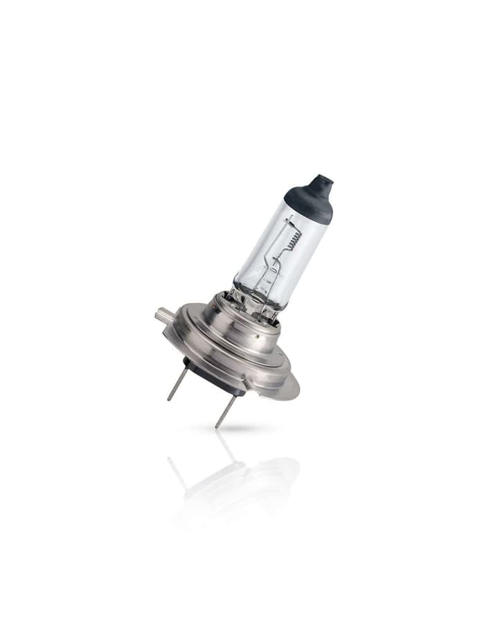 H7 LKW-Scheinwerferlampe 24V 70W PX26d MasterLife max durability & 4x lifetime 1 St. Philips