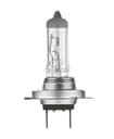 H7 Halogen-Scheinwerferlampe Offroad – H7 12V 80W PX26D Power Light 1 St. NEOLUX