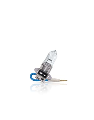 H3 LKW-Scheinwerferlampe 24V 70W PK22s MasterLife C1 1 St. Philips