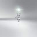 H1 LKW-Scheinwerferlampe 24V 70W P14.5s TRUCKSTAR® PRO NEXT GEN bis +120% mehr Licht 1 St. OSRAM